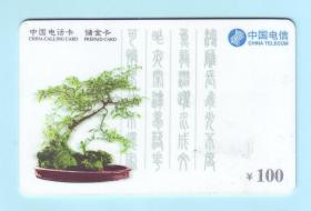 2000年中国电信300电话卡储金卡“盆景”，CNT-300-P1-5(5-4)，面额100元，使用截止日期：2000.12.31，由中国邮电电信总局发行