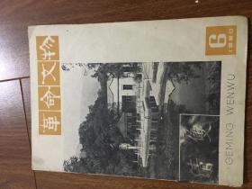 革命文物1980年第6期