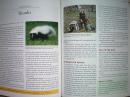 Deer-Resistant Landscaping: Proven Advice and Strategies for Outwitting Deer and 20 Other Pesky Mammals （原版外文书）