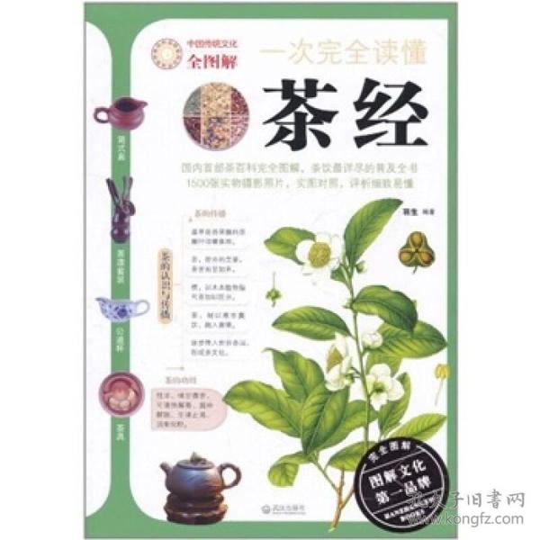 一次完全读懂茶经