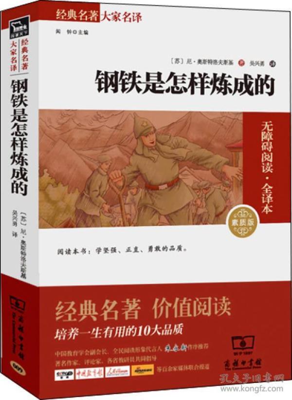 经典名著 大家名译：钢铁是怎样炼成的（无障碍阅读 全译本 素质版）