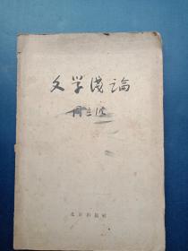 文学浅论