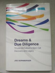 dreams due diligence