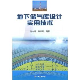 地下储气库设计实用技术