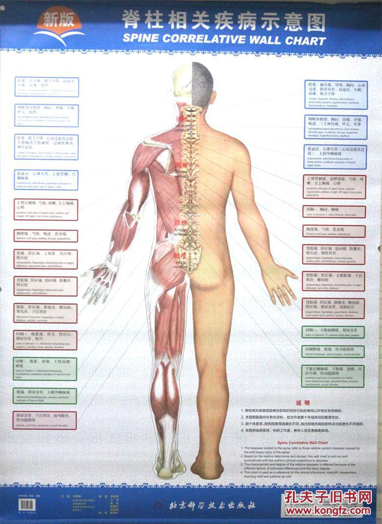 脊柱相关疾病示意图新版主编：韦贵康 北京科学技术出版社