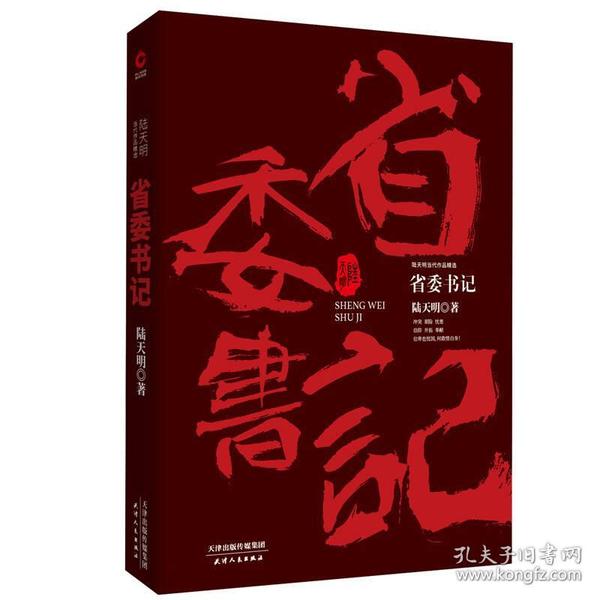 陆天明当代作品精选：省委书记