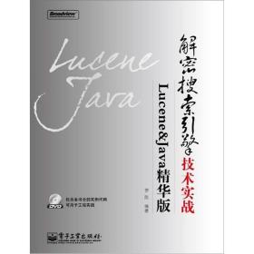 解密搜索引擎技术实战：Lucene&Java精华版