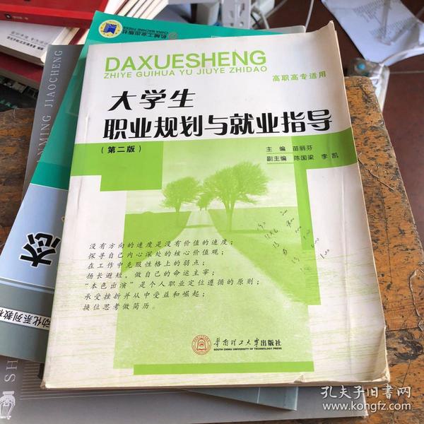 大学生职业规划与就业指导（第二版）