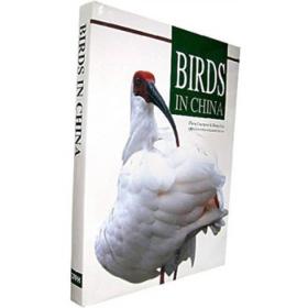 中国野鸟·BIRDSINCHINA