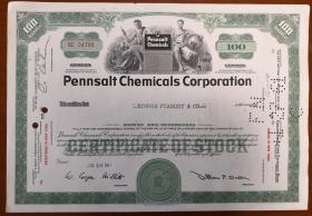 [老股票 美国]  Pennsalt 化学品公司股票  Pennsalt Chemicals Corporation