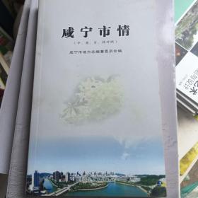 咸宁市情