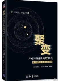 聚变：产业转型升级的C3模式——中卫体系经验与大陆实践