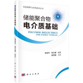 信息材料与应用技术丛书：储能聚合物电介质基础