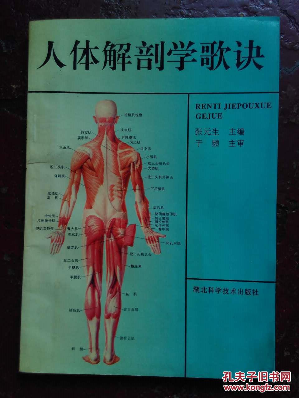 签名本：人体解剖学歌诀