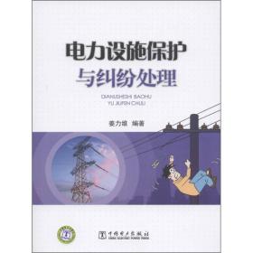 供电企业常见法律风险防范与处理丛书 电力设施保护与纠纷处理