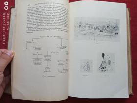 南满铁路大连医院馆藏英国眼科学杂志1929年第13期（the british journal of ophthalmology 13 1929）