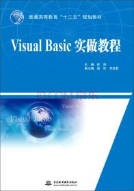 Visual Basic实做教程