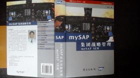 mySAP集团战略管理