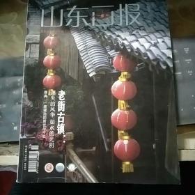 山东画报 2013年7月上半月刊/FZ822
