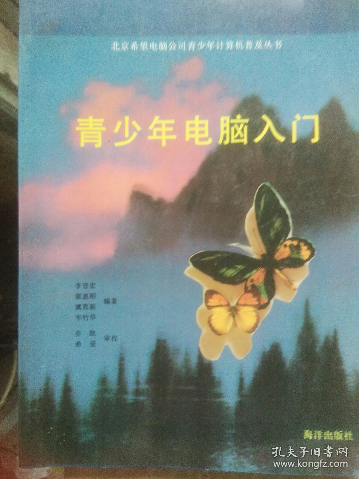青少年電腦入門(mén)