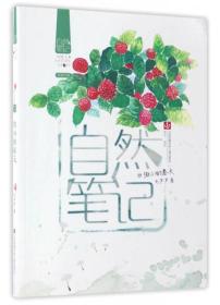 自然笔记：微小的春天