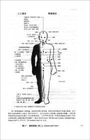 身体五态：重塑关系形貌