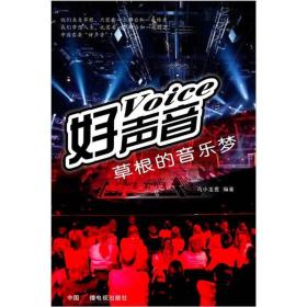 好声音：草根的音乐梦