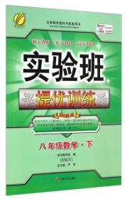 实验班提优训练 数学 8年级下 RMJY 人教版 2024