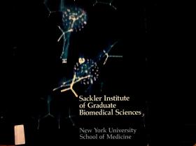 Sackler lnstitute of Graduate Biomedical Sciences