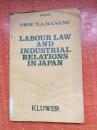 LABOUR LAW AND INDUSTRIAL RELATIONS IN JAPAN日本的劳工法与劳资关系英文版2BB1