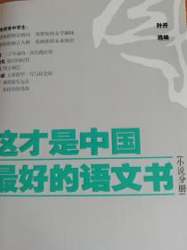 这才是中国最好的语文书-小说分册、综合分册