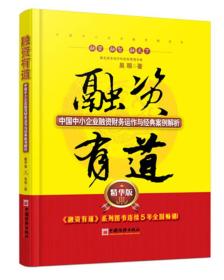 融资有道  中国中小企业融资财务运作与经典案例解析