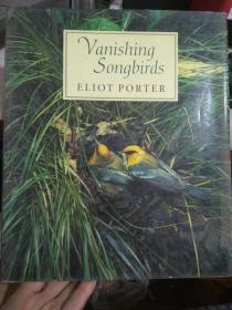 Vanishing Songbirds ELIOT PORTER