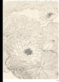 名家画谱系列 工笔花卉集 百花白描写生集 兰花白描写生集