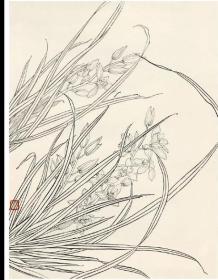 名家画谱系列 工笔花卉集 百花白描写生集 兰花白描写生集