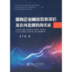 国有企业融资效率评价及在河北钢铁的实证