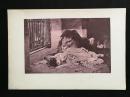 1890年照相凹版版画《狮子的新娘》43×29厘米