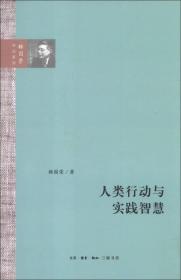 人类行动与实践智慧（杨国荣作品系列）