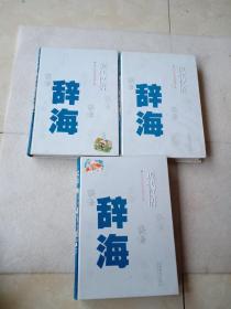 现代汉语辞海（全三册）精装 2002一版一印