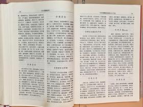 冯氏锦囊秘录 / 明清中医名著丛刊