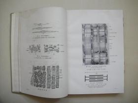 正常人体学图谱 上海科学技术出版社（1961年1版2印）