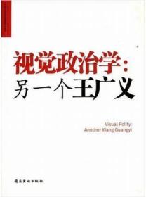视觉政治学:另一个王广义(16开平装 全1册)