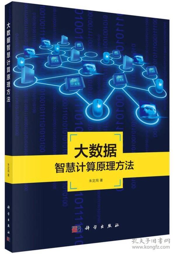 地理信息系统理论与应用丛书：大数据智慧计算原理方法