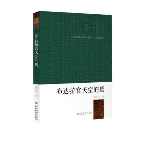 $少年梦 青春美 中国梦 中国故事——布达拉宫天空的鹰