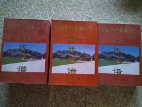 （福建安溪榜头）榜头白氏族谱 第一分册+第二分册+技图部分 共3册（第九次重新，2008年8月修）净重7.47KG