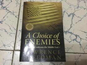 a choice of enemies america confronts the middle east    英文版;选择敌人美国面临中东