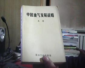 中国油气发展战略