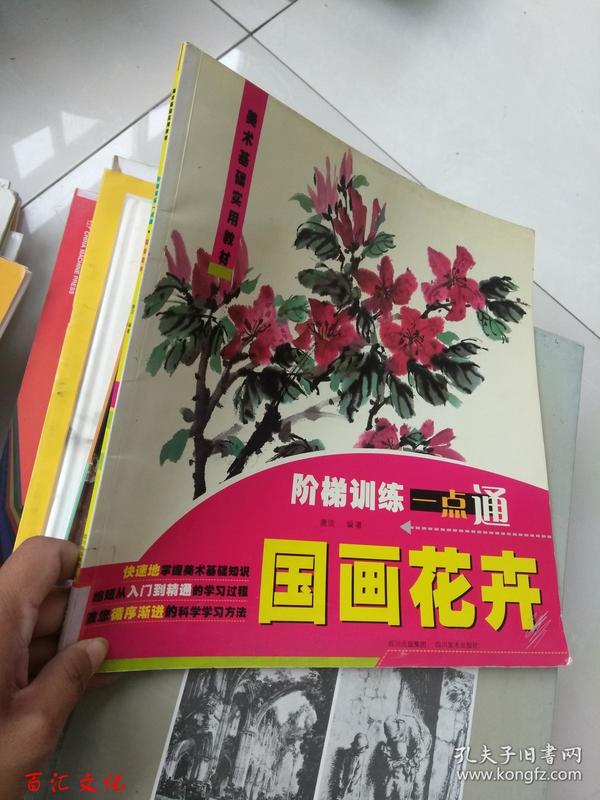 美术基础实用教材·阶梯训练一点通：国画花卉