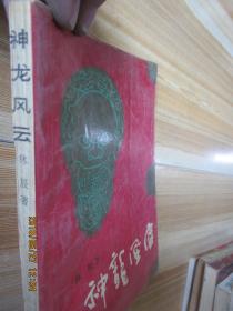 神龙风云