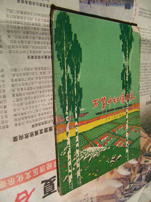 萬紫千紅塔里木